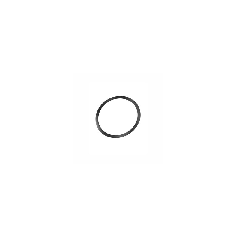 Sierra O-Ring. OMC