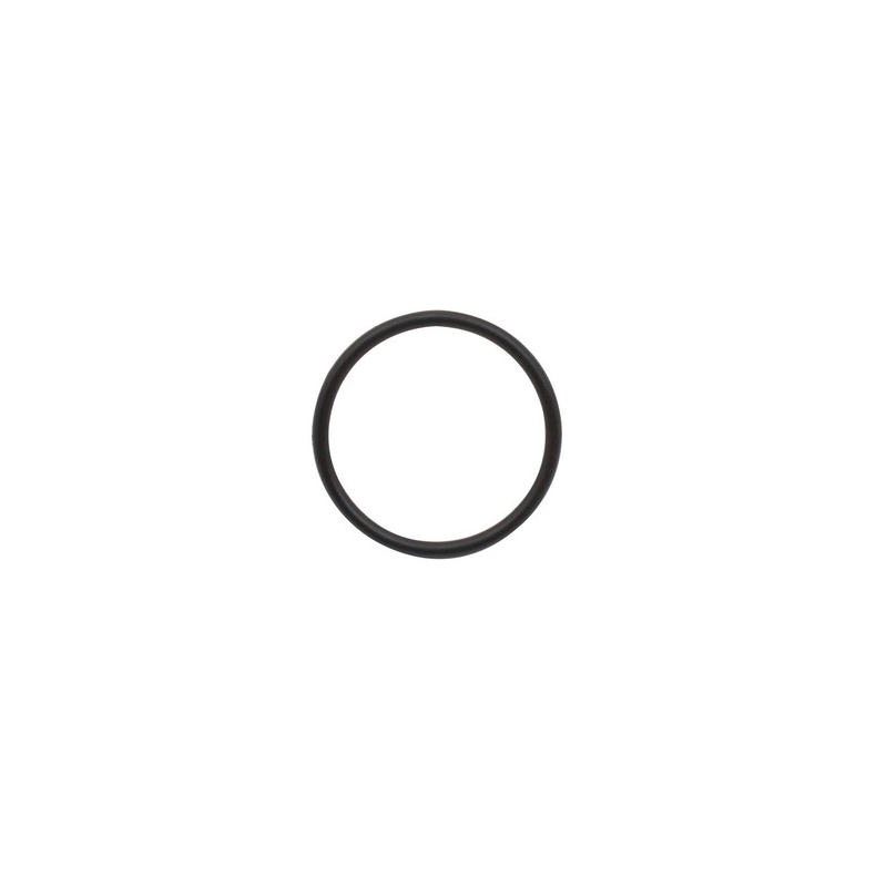 Sierra O-Ring. Yamaha