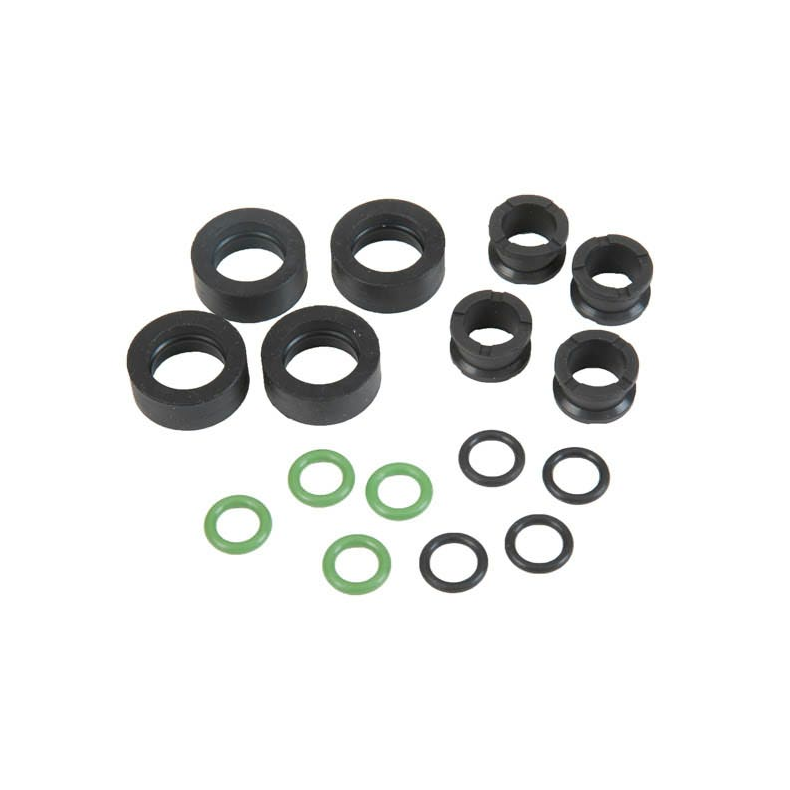 Sierra Injector Seal Kit