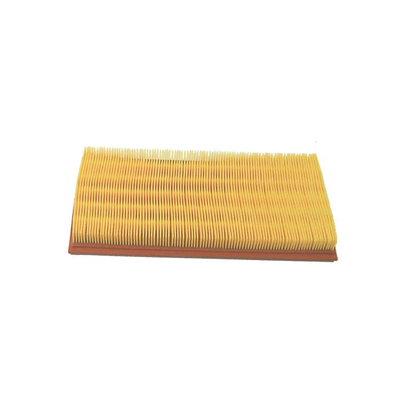 Sierra Air Filter