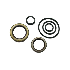 Sierra Crankshaft Seal Kit