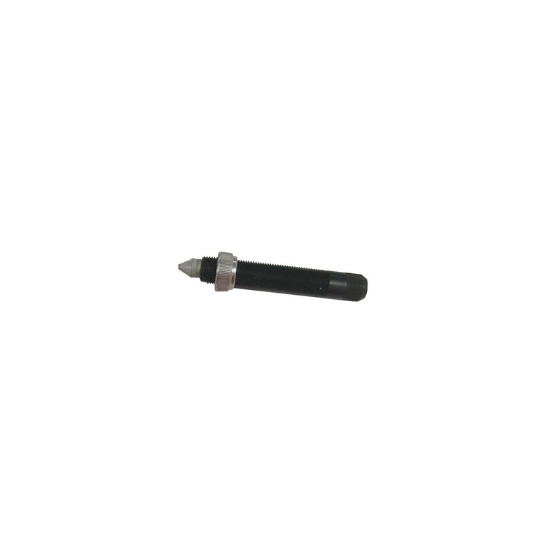 Sierra Screw