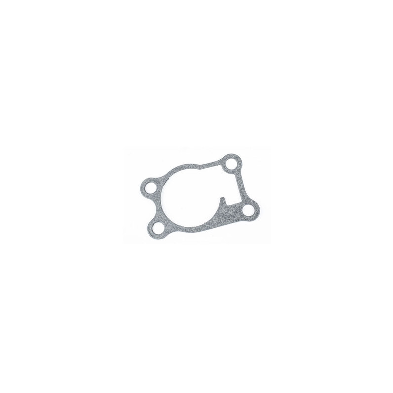 Sierra Gasket, Water Pump