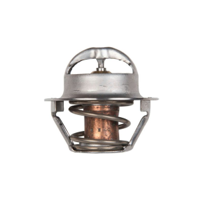 Sierra Termostet 60gr. Westerbeke