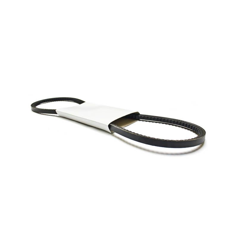 Sierra Alternator Belt