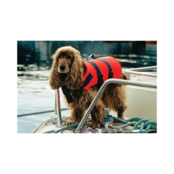 Regatta Hundevest, Large