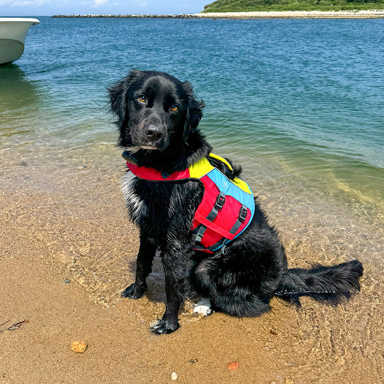 Spinlock Hundevest FIDO str. XS - M Spinlock Hundevest FIDO str. M