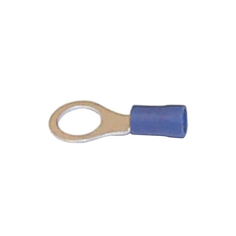 Sierra Terminal, Ring