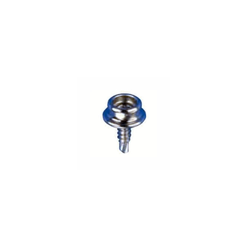 Bainbridge Self Drilling SS Screw 20mm for use wit