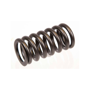 Orbitrade Valve Spring