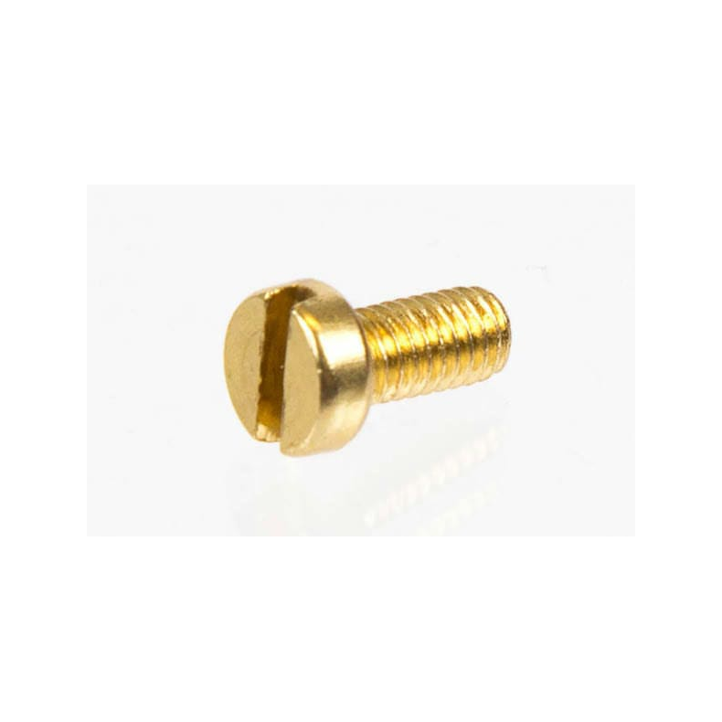 Screw