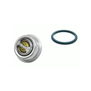 Orbitrade Termostat 60gr.2001,2002,2003 Salt.v.k