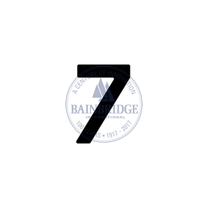 Bainbridge Sail Numbers 300mm Black 7