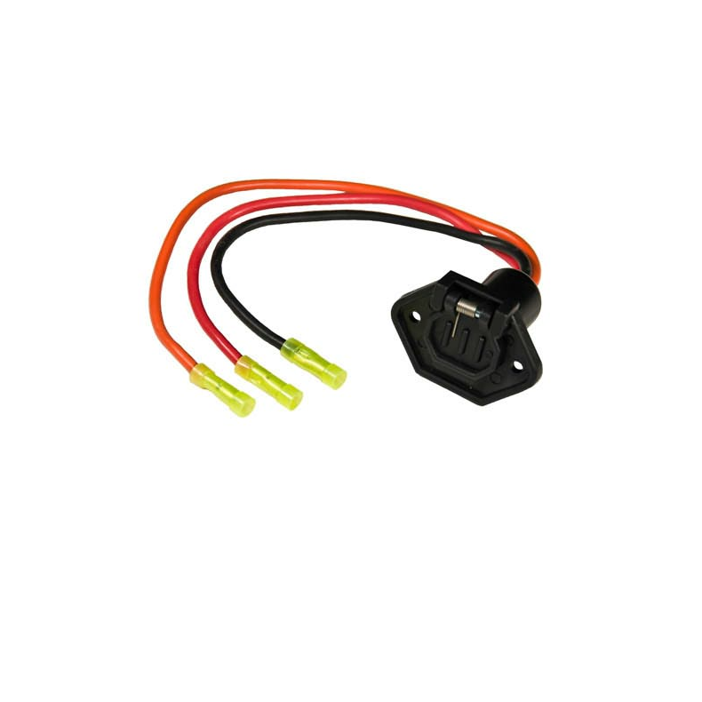 Socket, Female Motor Side 24v