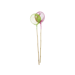 LITTLE VIKING BAMBOO NET GREEN/FUCHSIA 36PCS
