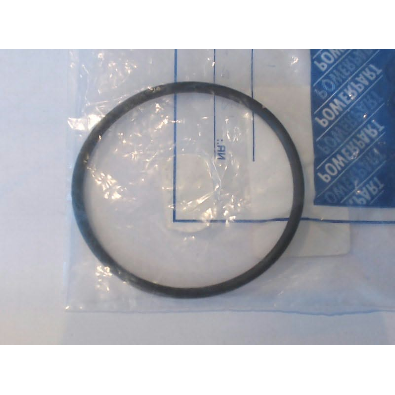O-ring
