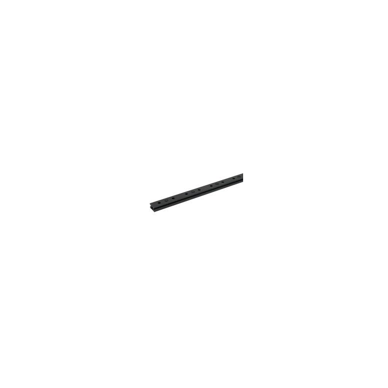 Selden skinne 42, m10 / pinstop, l=2500