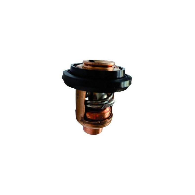 Termostat t. Yamaha