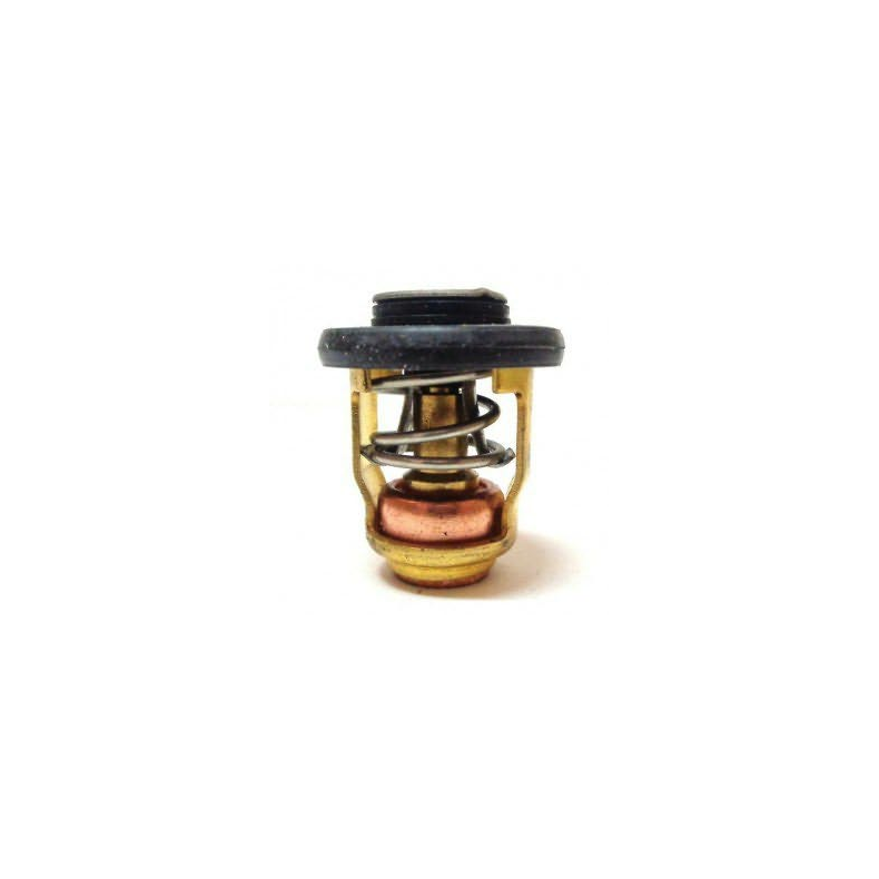 Termostat til Yamaha motor