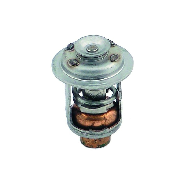 Thermostat brp #437090