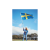 Fane sverige 160x100cm