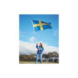 Svensk fane med tilbehr