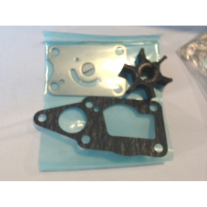 Kit, Water Pump Repair Df4&5