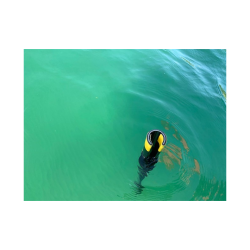 Bdshage Rollbar 190cm