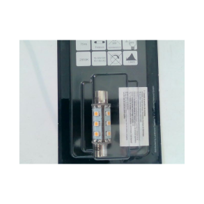 S-Led12 Festoon Aqua Signal42mm