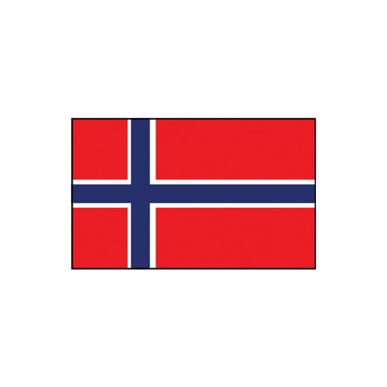 Flag Norge Norway Flag 20x30