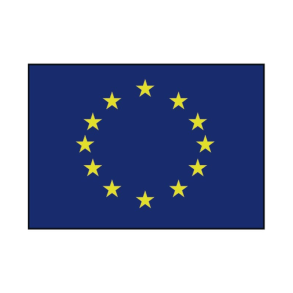 EU Flag 20x30