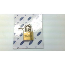 Padlocks 30 Mm Cyl,