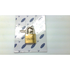 Padlocks 30 Mm Cyl,