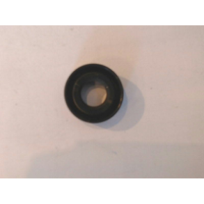 527 PAKDSE RM  10 19 7