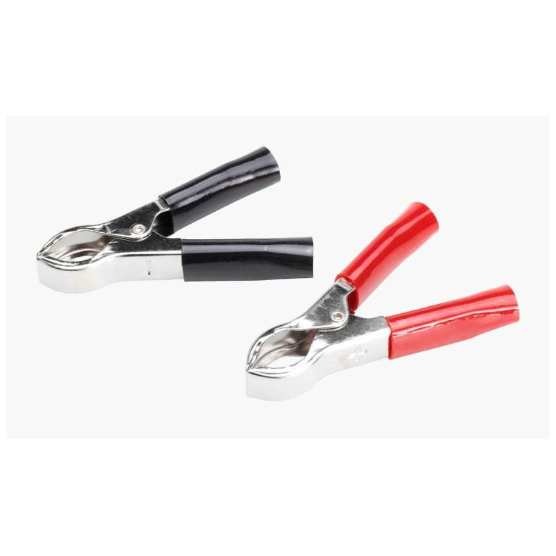 Battericlips