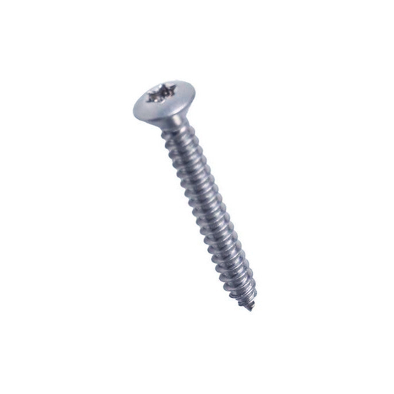 Selvsk�rende skrue linsehoved 10/20 stk Skrue Linsehoved 4.8 x 32 A4 Torx ISO 14587 10stk
