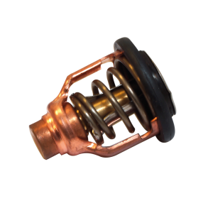 Termostat til Yamaha OEM 6DA-12411-01