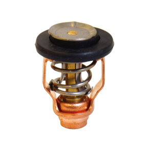 Termostat til Suzuki, Yamaha OEM 17670-90J01/60V-12411-00