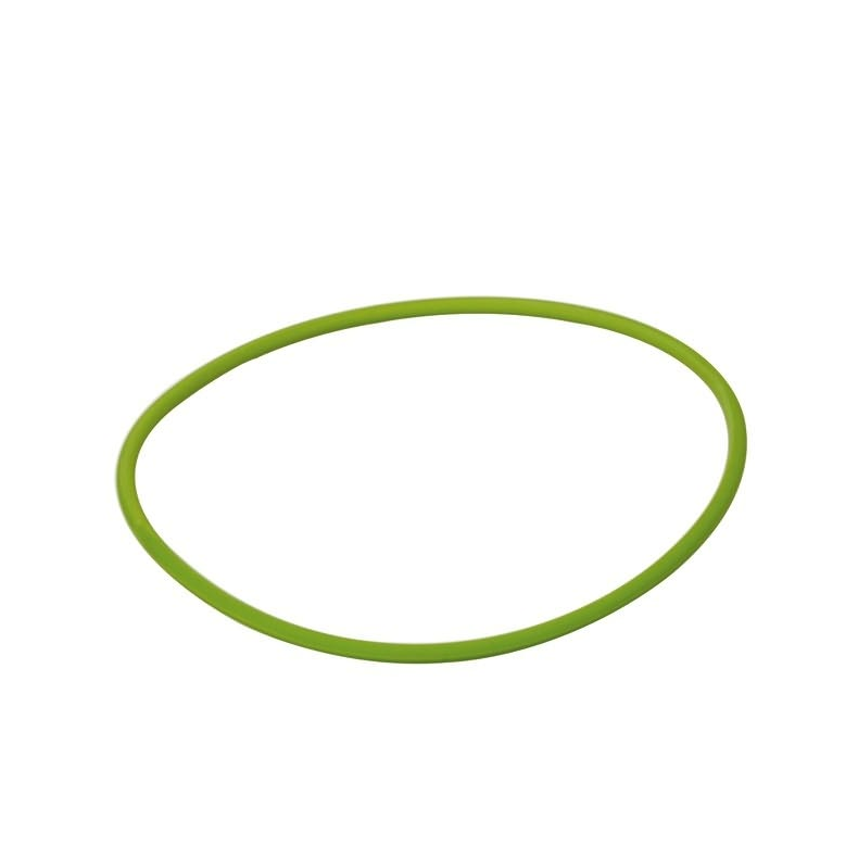 O-ring for inspektionsdksel
