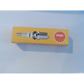 NGK tndrr br7hs - 4122