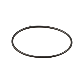 Whale Gulper 220 24v