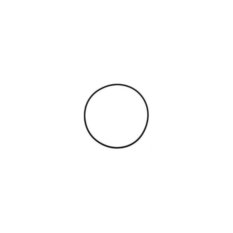 O-ring til slidplade for macerator 37045/245