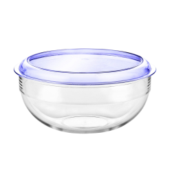 Salad Bowl & Blue Lid Tritan