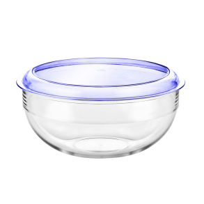 Salad Bowl & Blue Lid Tritan