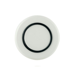 Sorona Tallerkner  21 Palm