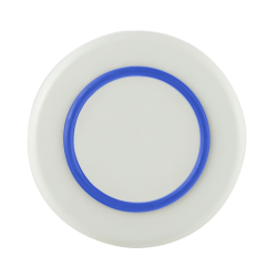 Sorona Tallerkner  21 Palm