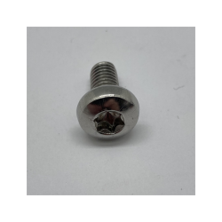 Seldn Screw MRT 6x12
