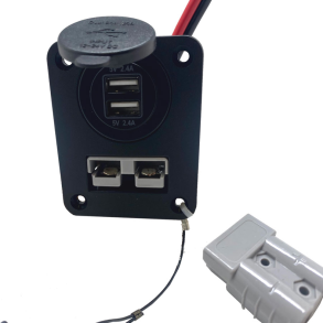 Panel Med Anderson Stik Og Udskring Til Ur