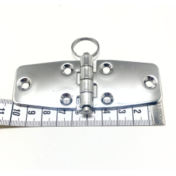 Delbart beslag rustfrit 98,4mm