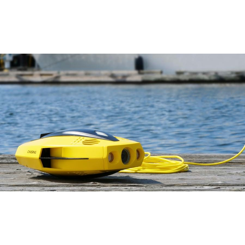 Chasing Dory